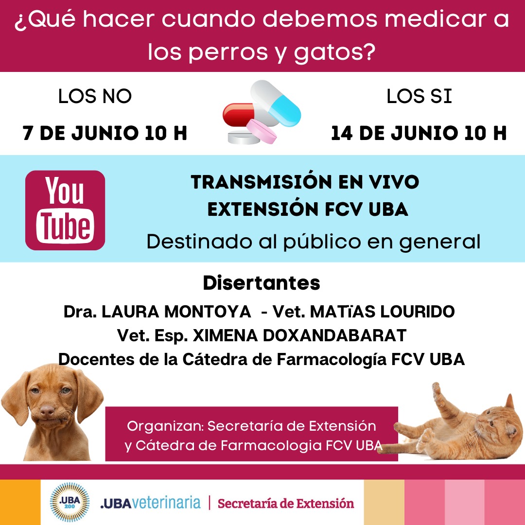 cursomascotas2