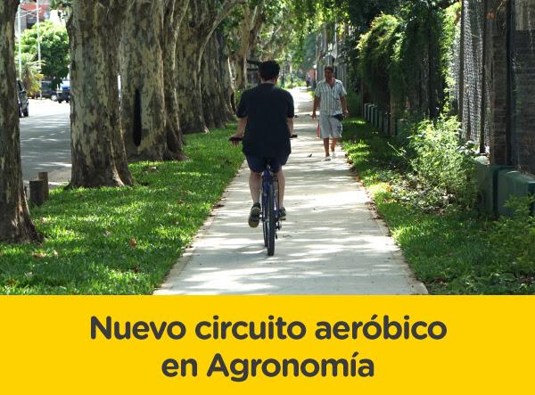 circuito aerobico agronomia