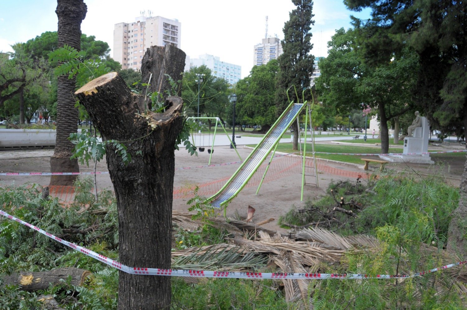 poda arboles